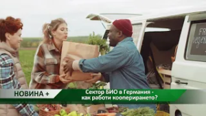 Новина плюс: Сектор БИО в Германия - как работи кооперирането?