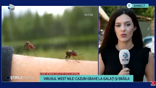 Stirile Kanal D - Virusul WEST NILE: Cazuri grave la Galati si Braila | Editie de pranz