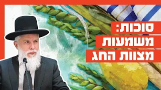 Rabbi Zamir Cohen - Sukkot: The Meaning of the Holiday's Mitzvah