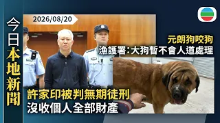 今日新聞重點：許家印被判無期徒刑沒收個人全部財產　法院指嚴重危害社會應依法嚴懲｜元朗狗咬狗　漁護署：大狗暫不會人道處理｜香港新聞｜無綫新聞｜TVB News｜2026/08/20