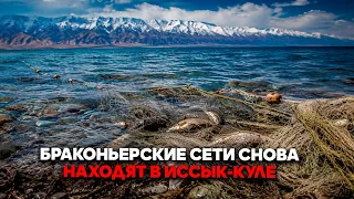 Eco-Police Raid: Saving the Lake's Unique Wildlife