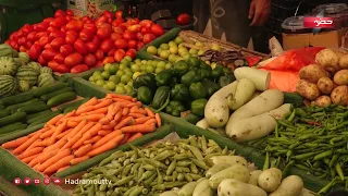 Director General of Agriculture in Wadi Hadhramaut Reveals Reasons for Rising Vegetable and Fruit...