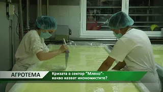 Агротема: Кризата в сектор “Мляко”- какво казват икономистите?