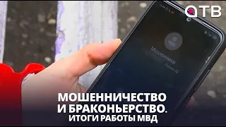 Мошенничество и браконьерство. Итоги работы МВД