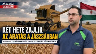 2 HETE ZAJLIK AZ ARATÁS A JÁSZSÁGBAN IS - GYENGE A TERMÉSMENNYISÉG, DE ELFOGADHATÓ A BÚZA MINŐSÉGE