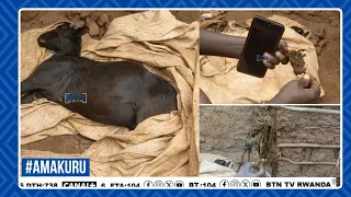 KIGALI: BAPFUSHIJE #IHENE 7 ICYARIMWE BABAGA 1 BASANGAMO IBYO BISE #UBUROZI NONE UMUGABO YAFUNZWE