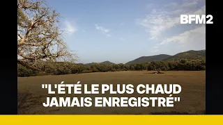 Les 40°C dépassés 178 fois: Météo France fait le bilan des canicules de cet été