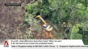 Natural disasters, illegal logging blamed for ecological crisis in Aceh