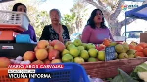 Prevención mosca de la fruta en Vicuña 