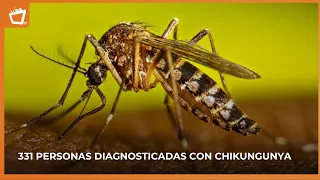 Dengue and chikungunya cases decrease in Nicaragua