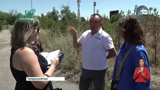 Таза Қазақстан / Жетісу облысында бірқатар экологиялық жобалар жүзеге асуда