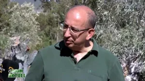 Yeniköy ve Kemerköy Enerji’nin misafiri oluyoruz, taşınan zeytin ağaçlarını yerinde görmeye geldik.