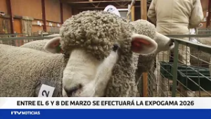 Expogama 2026 celebrará su versión 73 con competencias y shows en Punta Arenas