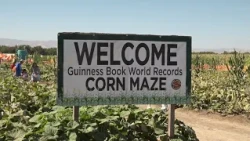 Two hospitalized after stabbing at Dixon corn maze