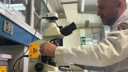 Especialistas de la Unison analizan el impacto de la nutrición en pacientes con cáncer de mama
