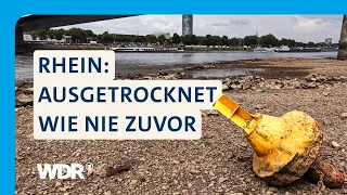 Deshalb wird der Rhein neu vermessen | Westpol | WDR