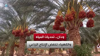 Waddan: Water and electricity challenges reduce agricultural production