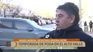 Pruning season continues in the Alto Valle