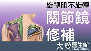【大愛醫生館】 旋轉肌不旋轉 20260807