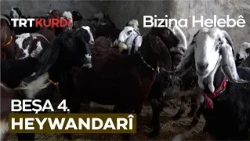 Heywandarî - Beşa 4.