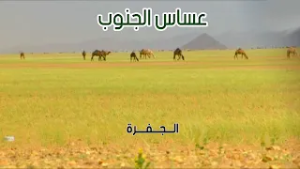 عساس الجنوب | الجفرة ( 28-7-1434هـ )