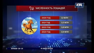 Kazakhstan Ranks 4th in the World by Horse Population