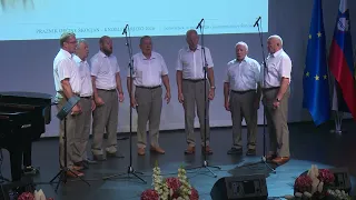 Nastop Fantov z vasi na slavnostni seji občine Škocjan