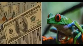 Wildlife exports from breeding centers generate over half a million dollars
