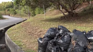 Председатель региональной корпорации Сангре-Гранде выразил надежду на продолжение программы по бл...