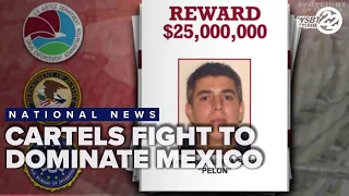 Cartels fight to dominate Mexico amid leadership changes