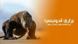 براري اندونيسيا أرض الكائنات الأكثر غرابة بين أدغال الجزر الإستوائية وقاع المحيط | كويست عربية