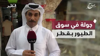 جولة في سوق الطيور للتعرّف على أبرز الأنواع المعروضة | صباح الدوحة
