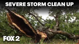 Volunteers across Metro Detroit clean up, rebuild after tornado and storms