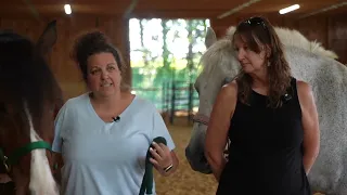 Healing, hope and horses: New nonprofit serves trauma survivors in Harford County