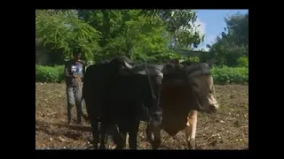 A family tradition of working the land