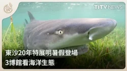 20-Year Dongsha Special Exhibition Opens Next Summer: Explore Marine Ecology at 3 Museums | Daily...