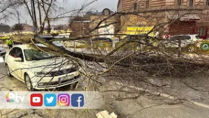 EDİRNE’DE FIRTINA AĞAÇLARI DEVİRDİ