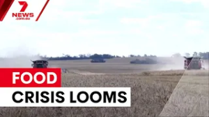 Iran blockade threatens Australian food security | 7NEWS