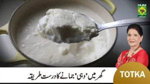 Zubaida Apa Totka | Easy Homemade Dahi/Yogurt Recipe | Tips & Tricks For Yogurt  | MasalaTV
