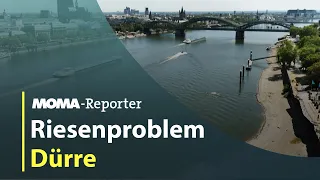 MOMA-Reporter: Niedrigwasser bedroht Schifffahrt | ARD Morgenmagazin