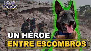 Tsunami came to the rescue and touched all of Venezuela | Canal 1 News