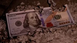Dollar decline sparks concern in the export sector