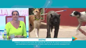 CAD La Entrevista: Yahaira Tovar, presidenta de Adepac  | Mírame TV Canarias