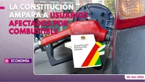 La constitución ampara a usuarios afectados por combustible
