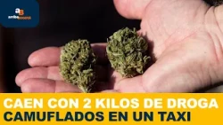 Couple thought they could use public transport to traffic 2 kilos of narcotics | CityTv