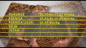 Na Produktnoj berzi za nedelju dana prodato 5.000 tona robe (soja, ječam i đubrivo)