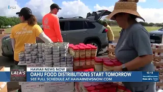 Hawaii Foodbank to hold food distribution after Lala