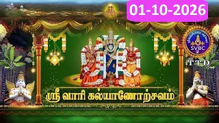 Sri Vari kalyanostavam || Tirumala || SVBC2 Tamil ||  01-10-2026 || SVBC TTD ||