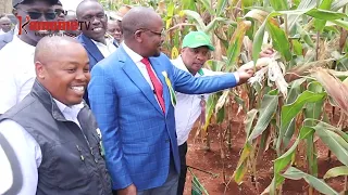 Thirikari nikwambiriria gwikira mahiu maruri ma kuhitana na wuici