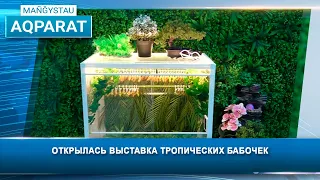 Tropical Butterfly Exhibit Now Open